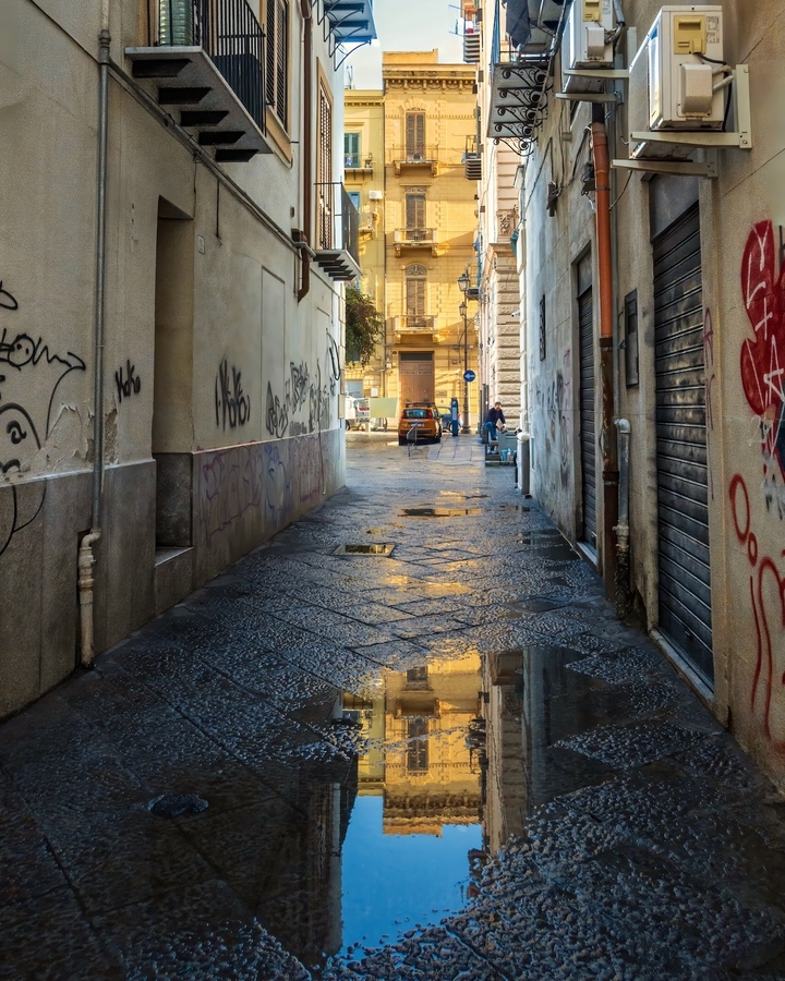 Early Morning After The Rain - Pat Ainger